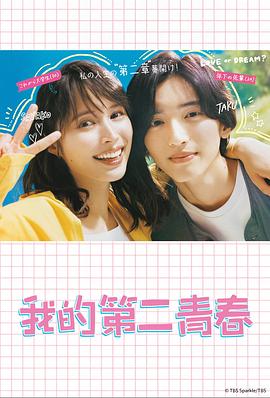 有经验的seo优化公司